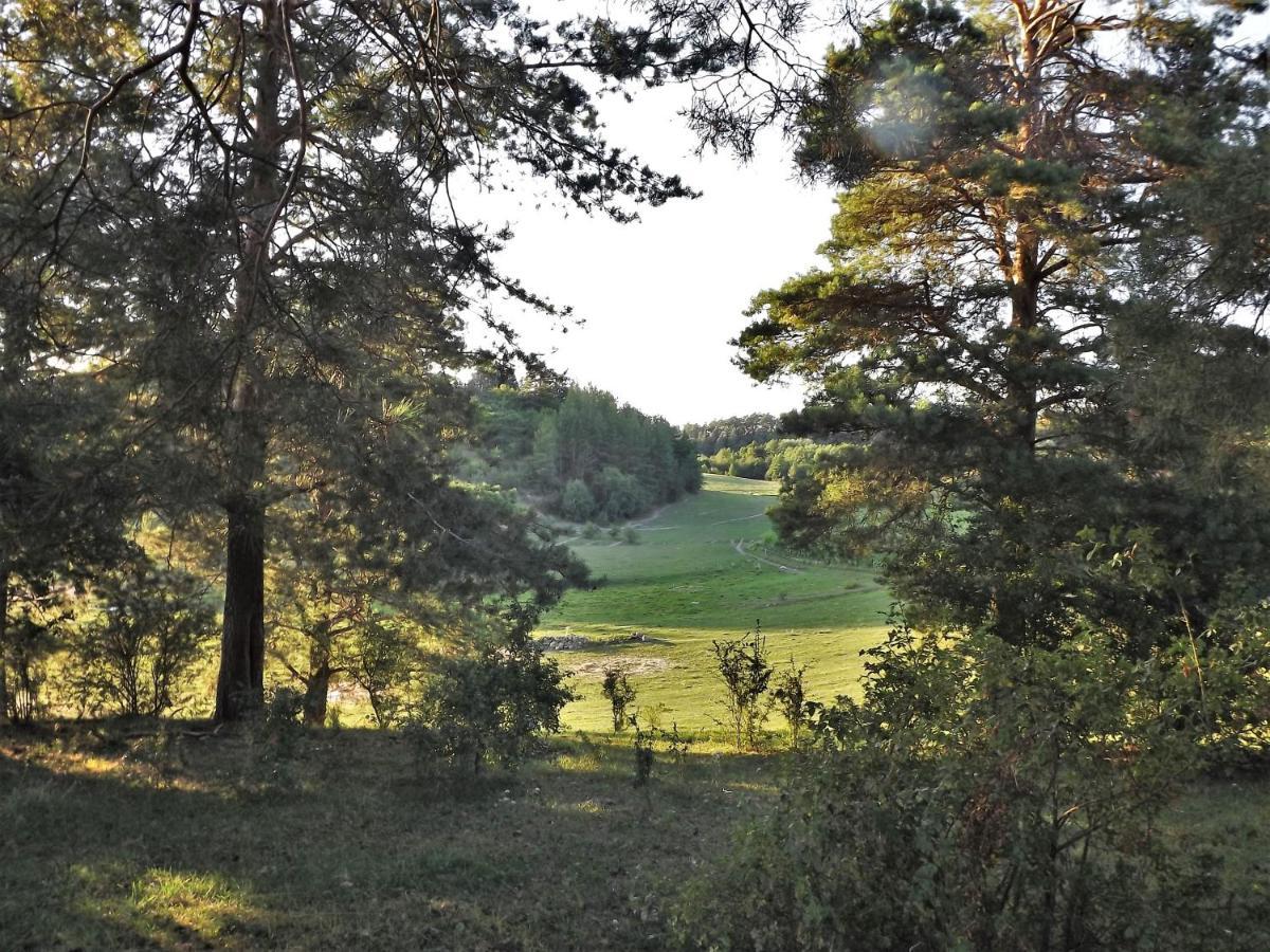 Agroturystyka Dolina23 Vila Piaski Exterior foto